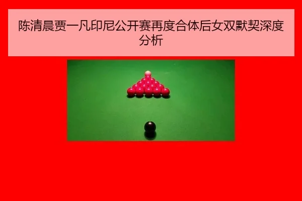 陈清晨贾一凡印尼公开赛再度合体后女双默契深度分析